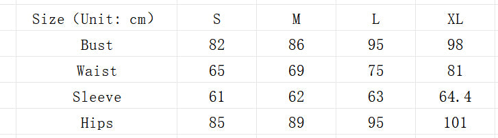 Plus Size Sequin Silver Dress