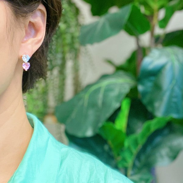 Two Colors Earrings - Composure Boutique