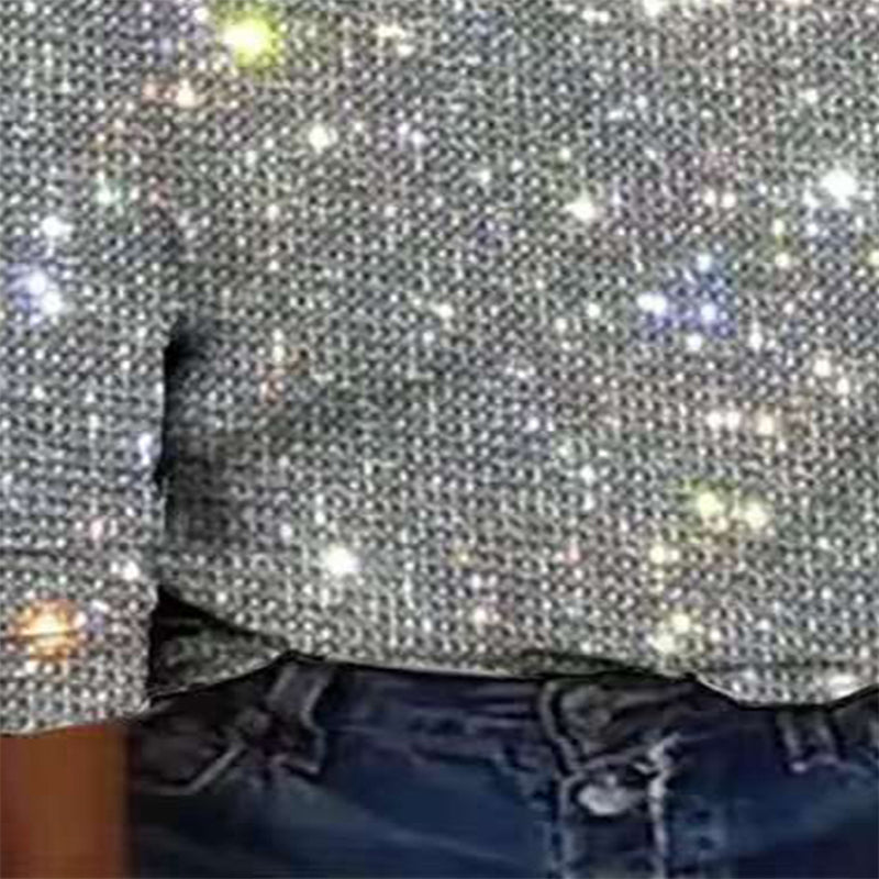 Plus Size Sparkle Glitter Top